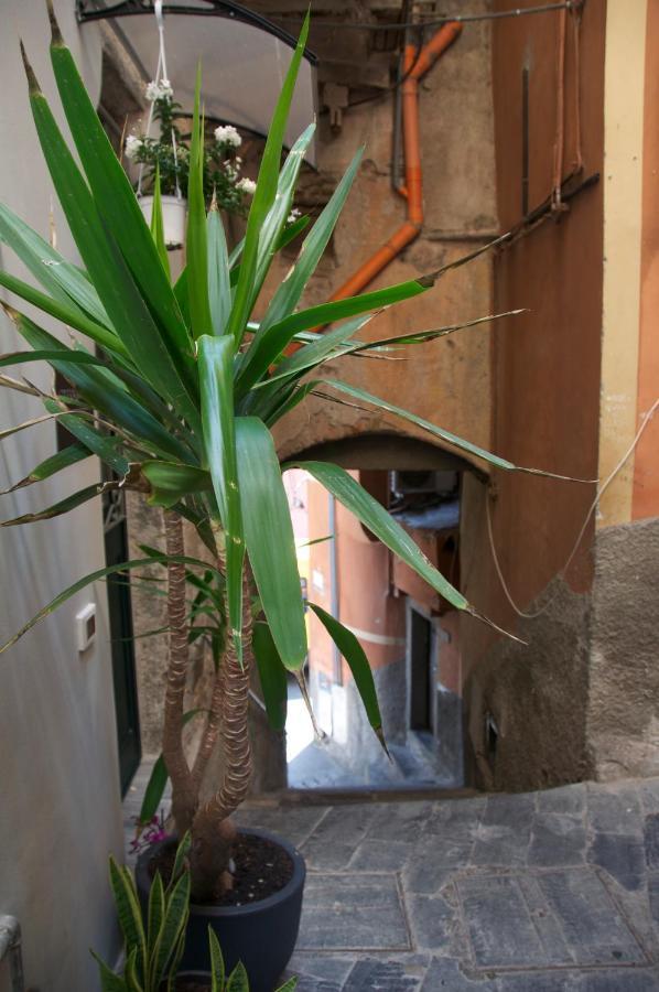 Hotel La Croce Dei Templari - Very Central With Parking - Riomaggiore Zewnętrze zdjęcie